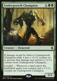 Undergrowth Champion